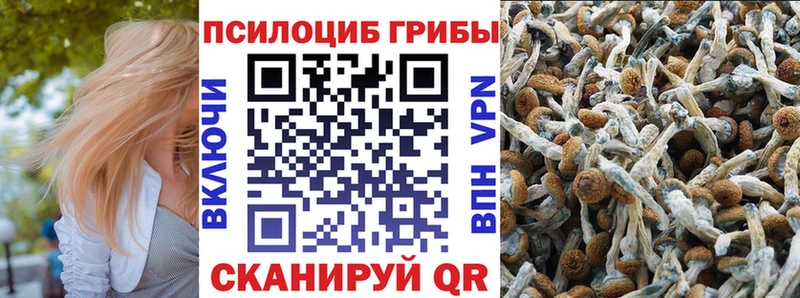 Галлюциногенные грибы GOLDEN TEACHER  даркнет формула  Жуков 